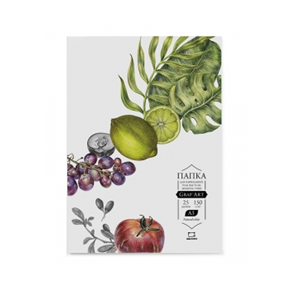 Бумага для сухих техник "GrafArt"